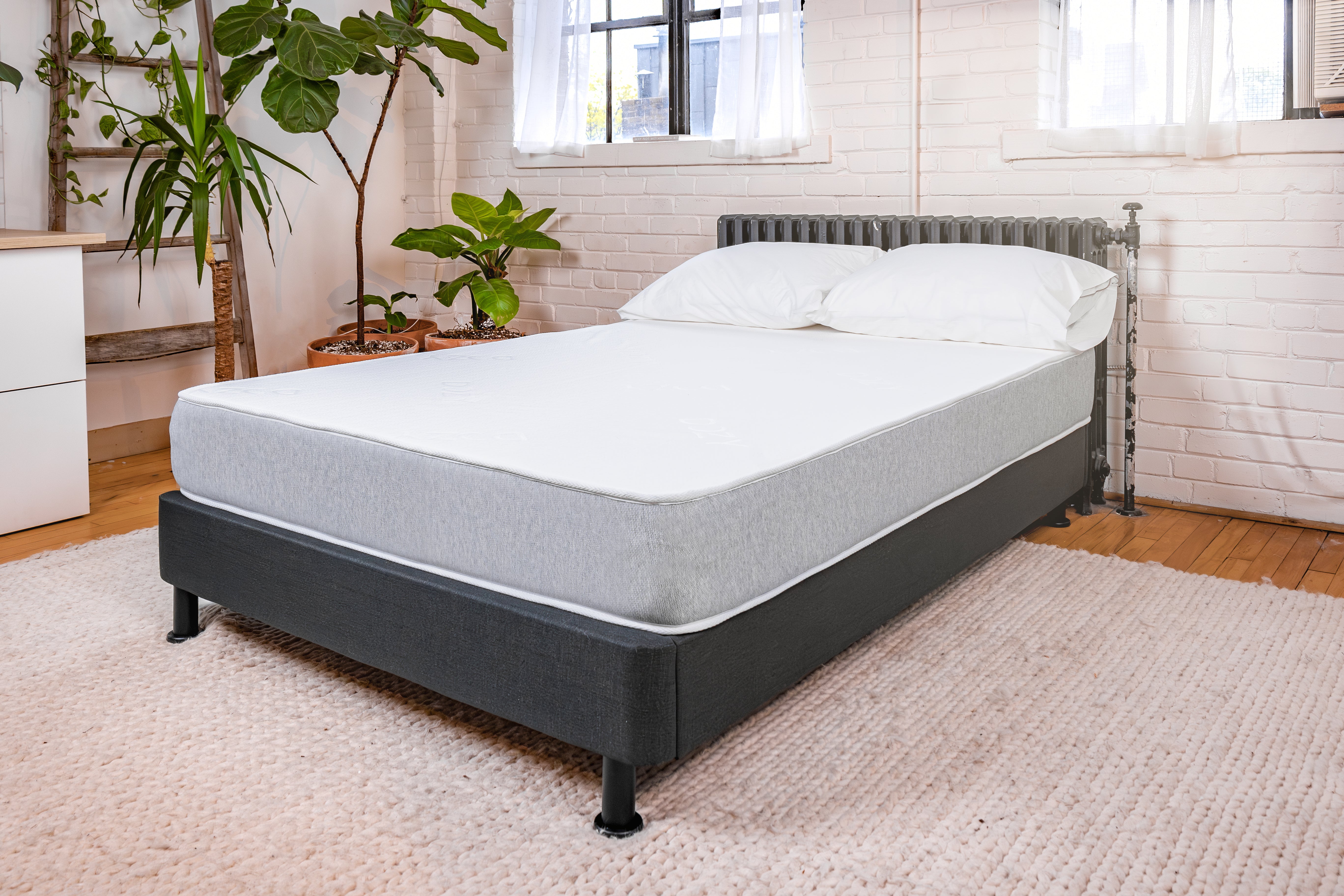 The Essential - Dozy