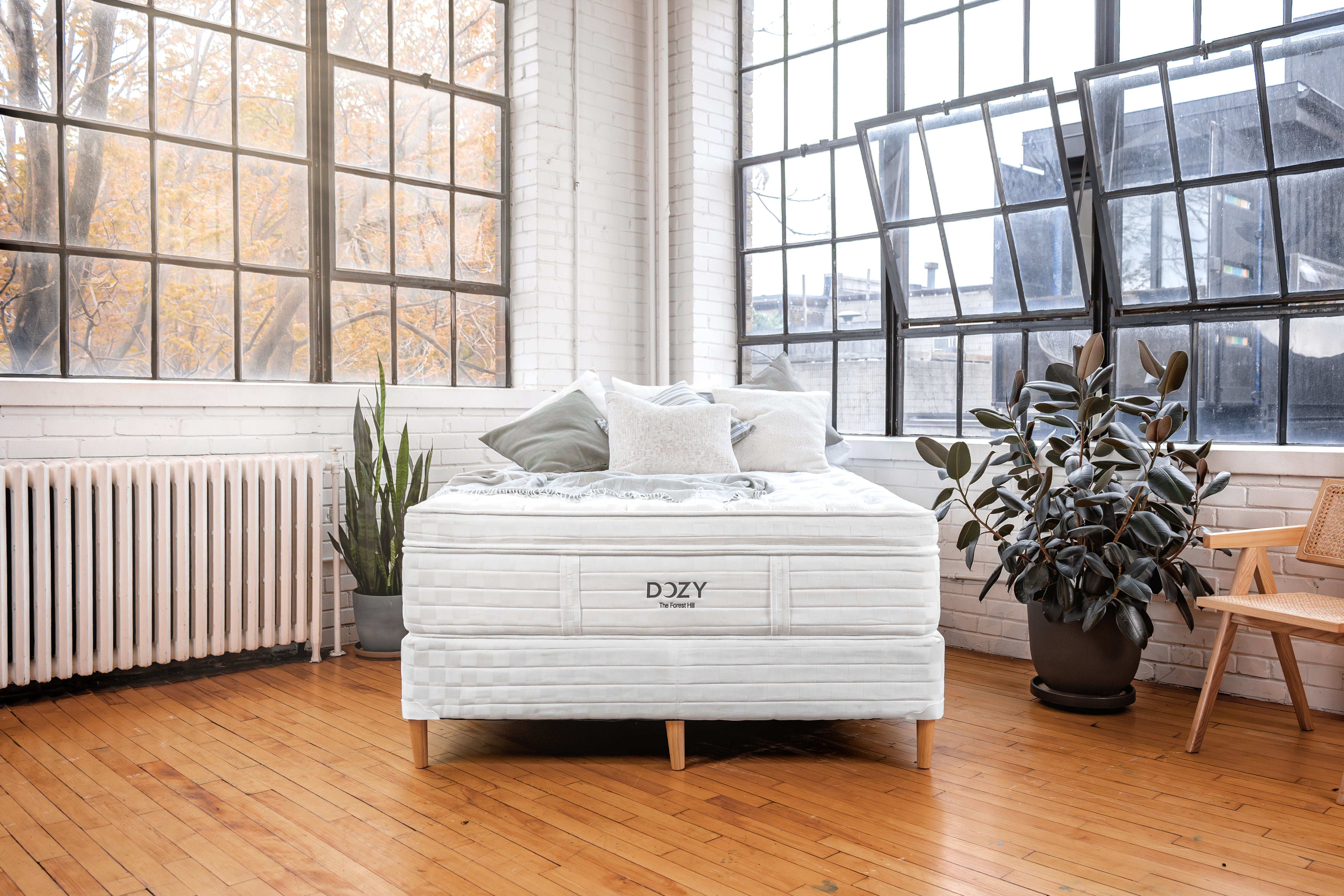 The Forest Hill - Dozy